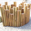 Bamboo-fences